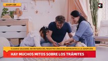 Hay muchos mitos sobre los trámites