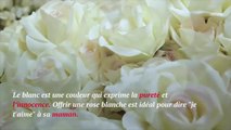 Le langage secret des fleurs pour un bouquet parfait