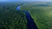 Facebook va mettre fin aux annonces de vente illégale de parcelles de la forêt amazonienne