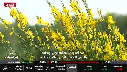 ...كيلومتر مربع من دلتا نهر الرون الى بحيرة...