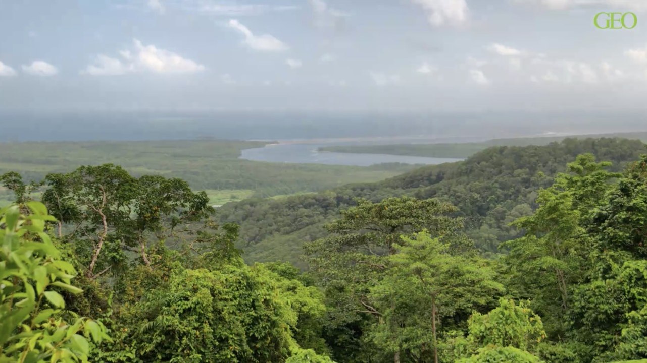 En Australie, un peuple aborigène devient le gardien de Daintree, la plus vieille forêt tropicale du monde