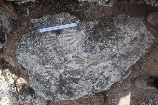 Au Tibet ces empreintes laissées par des enfants pourraient être le plus ancien exemple d'art pariétal