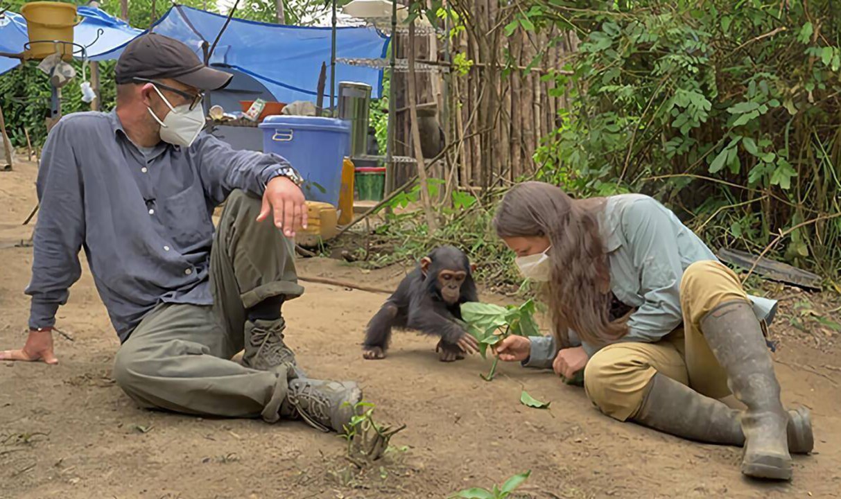 Extrait de Primates en sursis, le combat d'Amandine