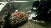 Une mystérieuse épave fouillée par des spécialistes de l'archéologie sous-marine en Bretagne