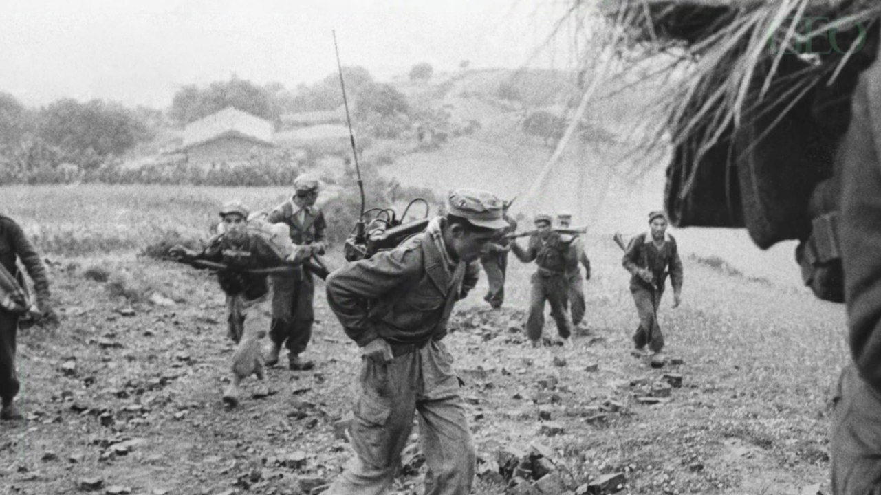 Guerre d'Algérie : qui sont les Harkis ?