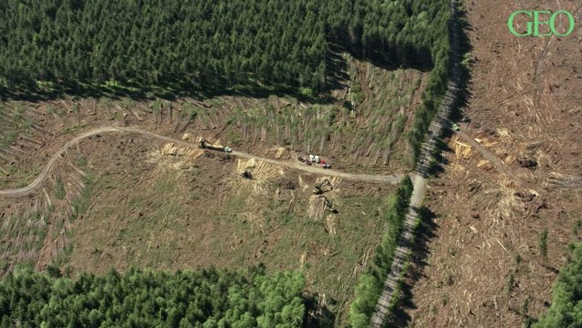 L’université de Harvard a lancé un groupe de travail scientifique international pour enrayer les futures pandémies