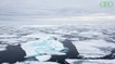 Environnement : le GIEC a dévoilé son rapport 2021 sur la crise climatique