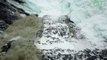 Groenland : un épisode "massif" de fonte des glaces