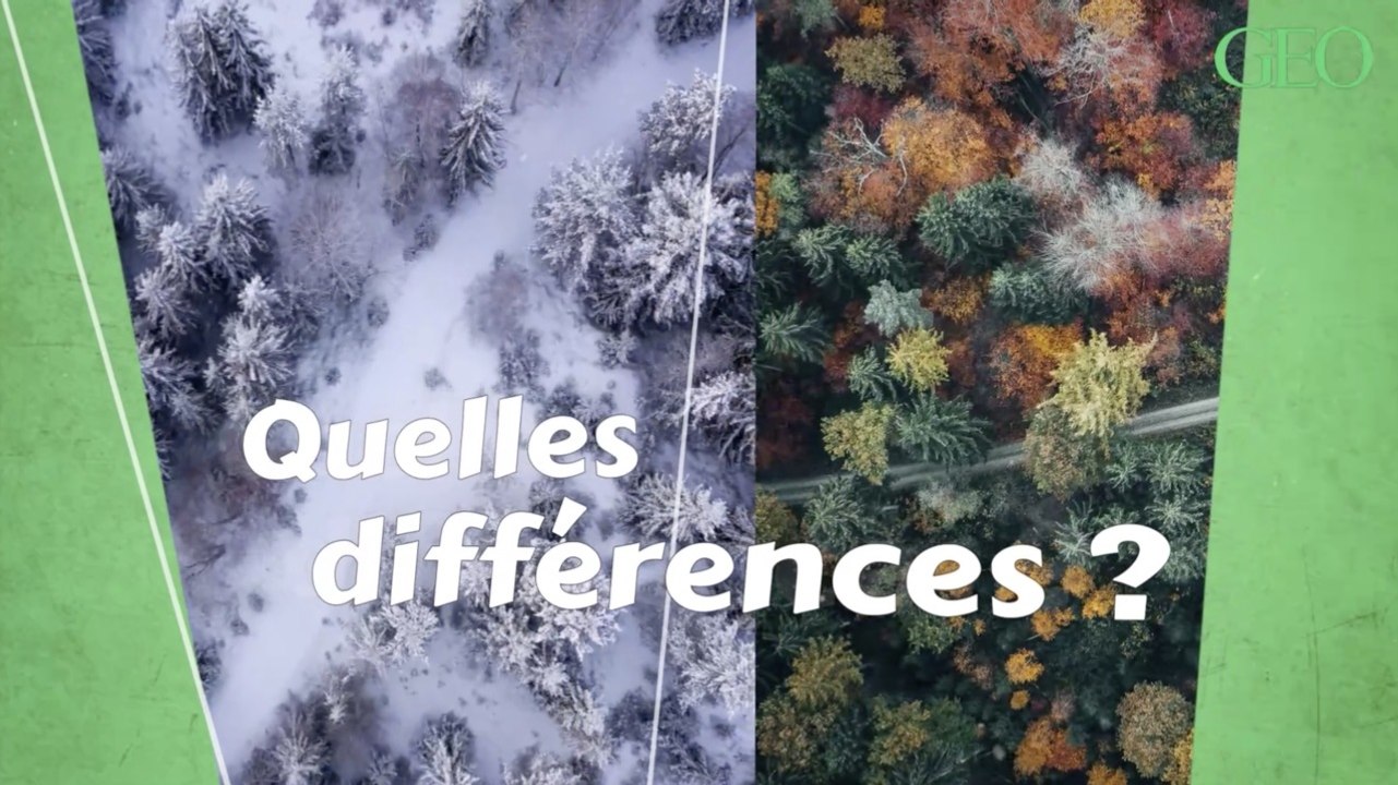 Quelles différences entre un équinoxe et un solstice ?