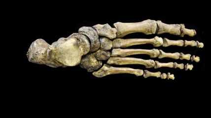 Selon une étude, les Anglais du Moyen Age avaient des oignons plein les pieds