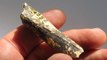 Histoire : des chercheurs identifient un fragment d'os 18 ans après sa découverte dans la grotte de Tautavel
