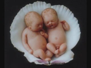 Réalisation de bébés en pâte d’amande