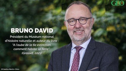 La sixième extinction des espèces a-t-elle déjà commencé ?