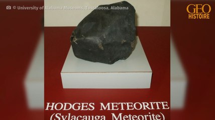 L'histoire d'Ann Elizabeth Hodges, première femme percutée par une météorite, adaptée en BD