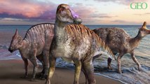 Au Japon, une nouvelle espèce de dinosaure à bec de canard a été découverte