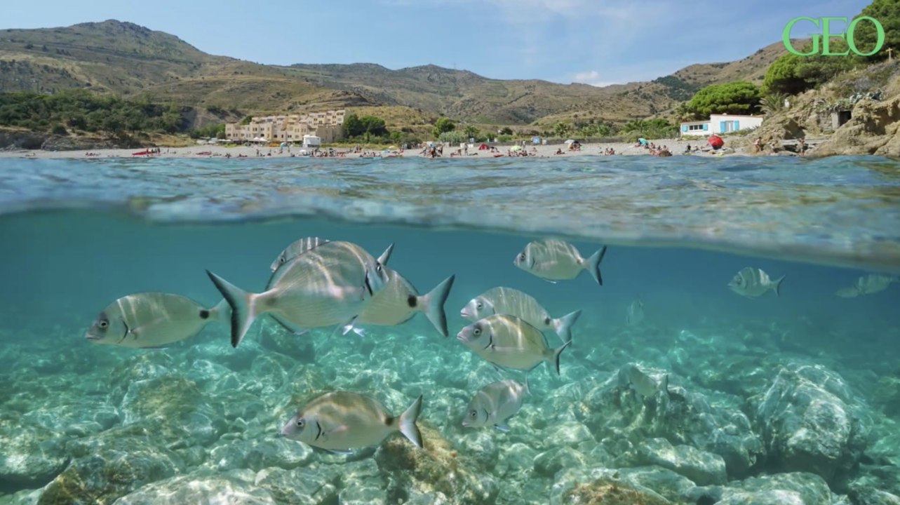 Liste Verte : 7 nouveaux sites français s'ajoutent aux espaces protégés