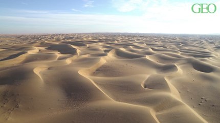 Comment le sable du Sahara fertilise la forêt amazonienne ?