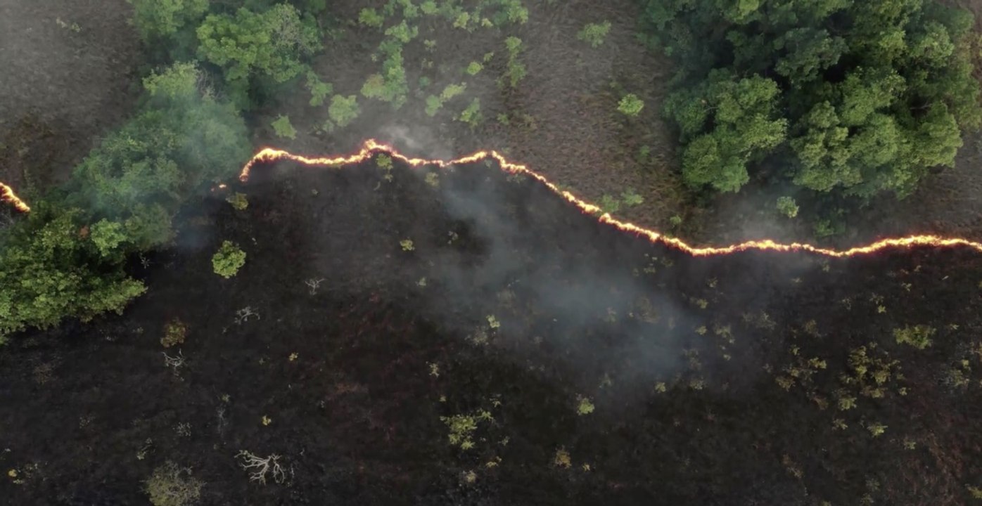 De grands médias internationaux s'engagent à utiliser désormais le terme "urgence climatique"