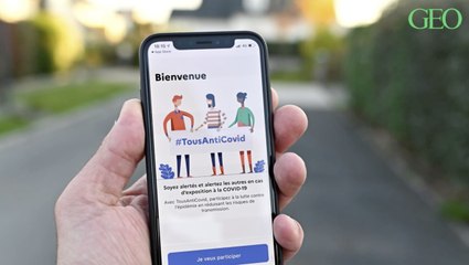La France adopte le pass sanitaire pour contrôler certains vols