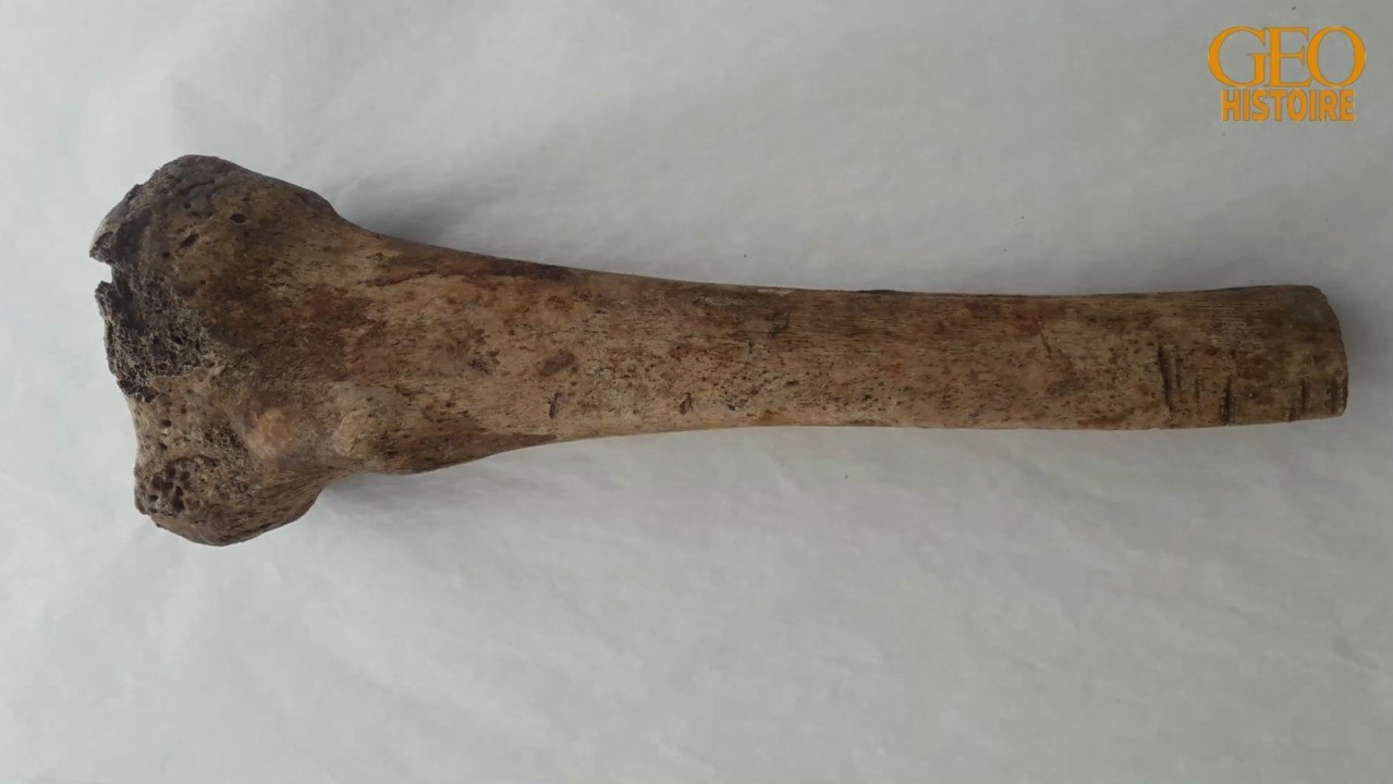 Copenhague : de mystérieux ossements découverts dans la capitale danoise