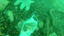 Pollution : des masques chirurgicaux usagés et des gants en plastique retrouvés au large d'Antibes