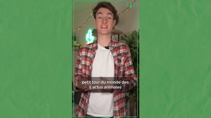 Tour du monde des 5 actus animales de ce début d'année