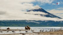 Du soleil aux volcans (France 2) : découvrez un extrait du second volet d'Une planète parfaite