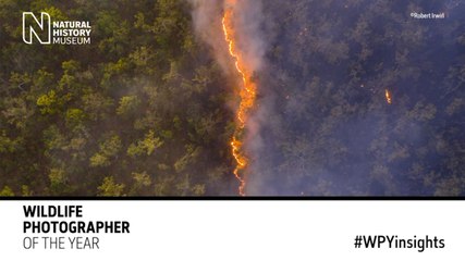 Wildlife Photographer of the Year : les secrets de la photo gagnante du prix du public