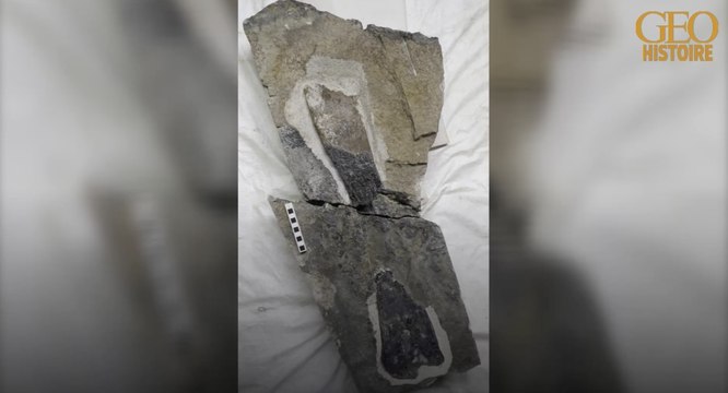 Histoire : un fossile de dinosaure de 166 millions d'années découvert sur une île écossaise