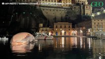 Italie : une énorme baleine morte retrouvée non loin de Naples