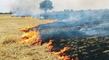 What did farmers say over stubble burning creating pollution