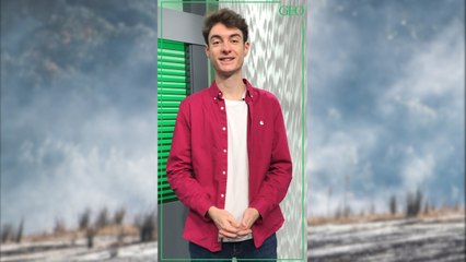 Australie : un an après les incendies, comment la faune sauvage se porte-t-elle ?