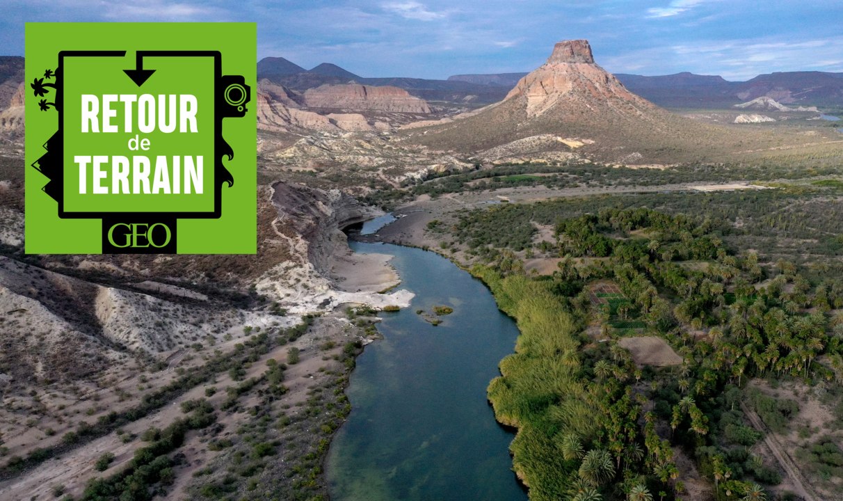 Podcast "Retour de terrain" : Road trip à la me...