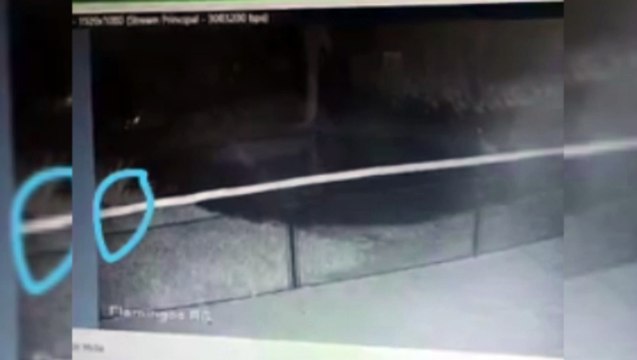 Vídeo: Parque das Aves cancela visitação por morte de flamingos