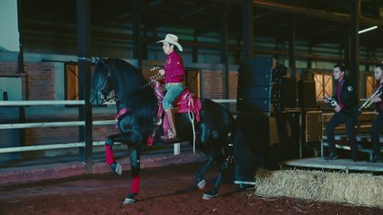 Banda Carnaval - El Tecolotito (En Vivo)