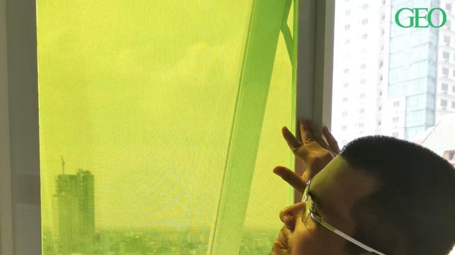 Ces panneaux solaires innovants ont été fabriqués... à partir de déchets de fruits et légumes