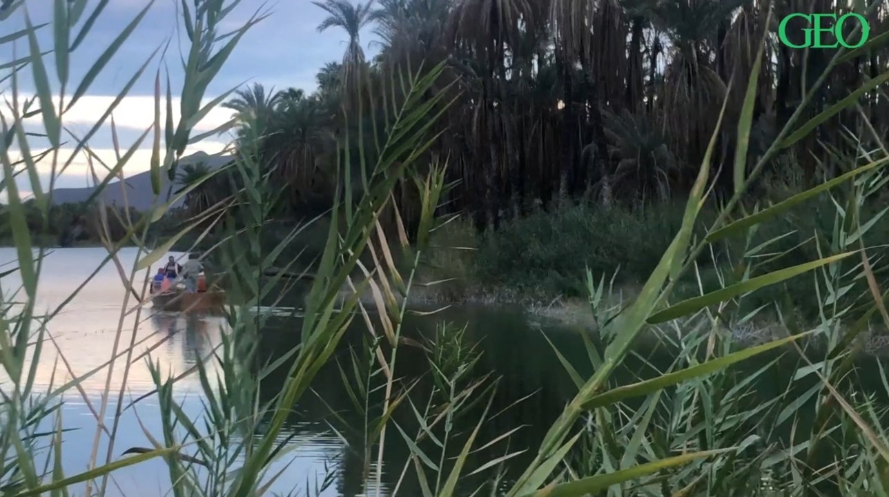 Baleines, désert et missions... A la découverte de la Basse-Californie au Mexique