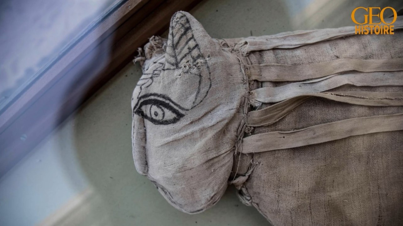 Histoire : des archéologues découvrent de rares momies de lions en Egypte