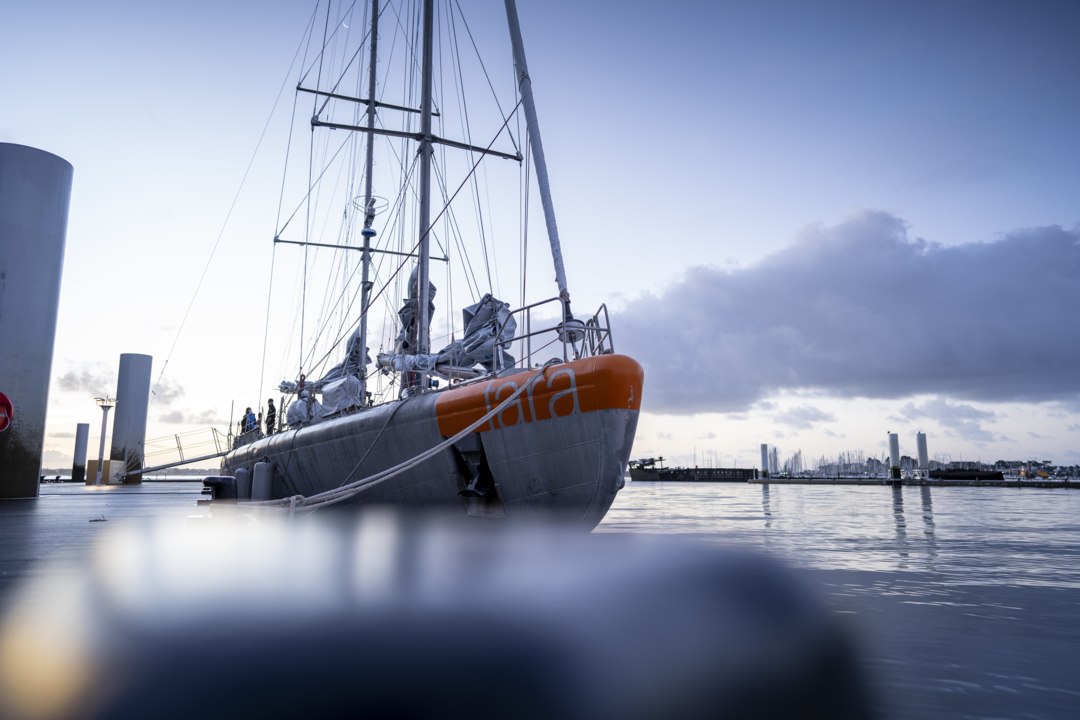 Nouvelle expédition pour la goélette Tara qui part étudier le microbiome de l'océan