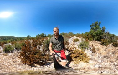 La nature en 360 degrés avec Wild Life