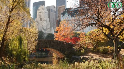 Quelles sont les villes où il fait bon vivre en 2020 ?