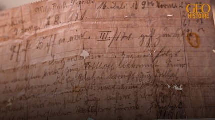 Alsace : un message militaire allemand perdu par un pigeon voyageur réapparaît 110 ans plus tard