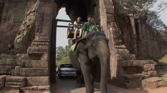 Environnement : les balades à dos d'éléphant bientôt interdites à Angkor au Cambodge