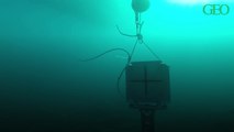 Environnement : à la Réunion, ce sonar est capable de détecter les requins dans un rayon de 160 mètres