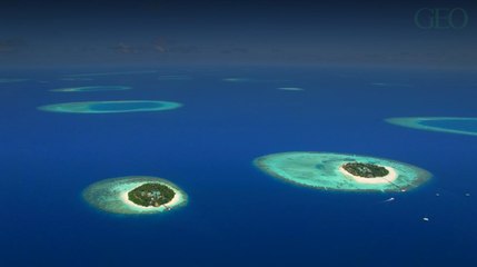 Alerte emploi : devenez "libraire aux pieds nus" aux Maldives !