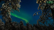 Voici 5 expériences à vivre en Laponie finlandaise