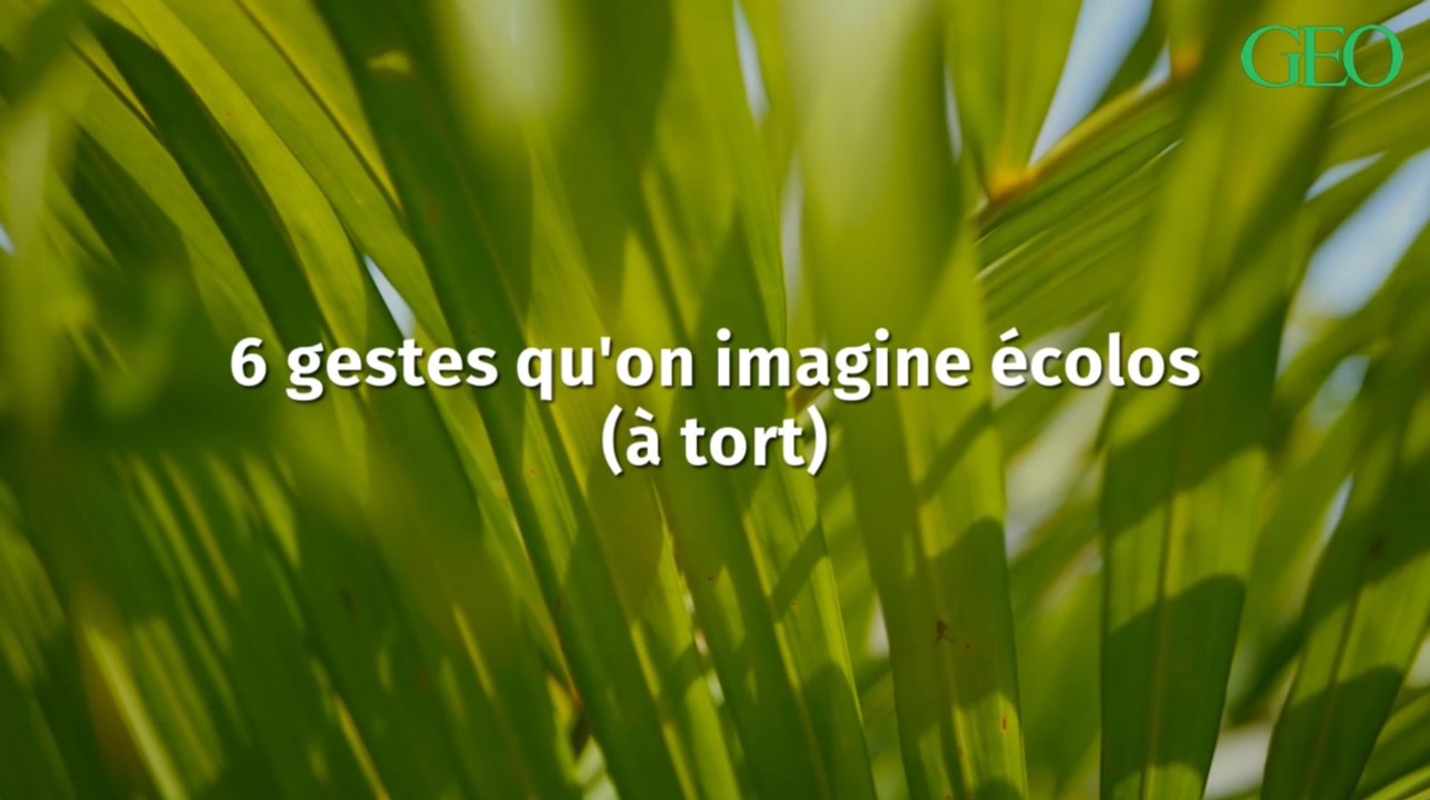 Environnement : six gestes qui ne sont finalement pas écologiques