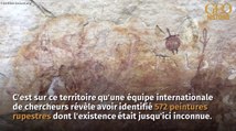 Des peintures rupestres découvertes en Australie