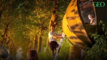 Belgique : dormez suspendu aux arbres grâce à ces tentes en forme de larme