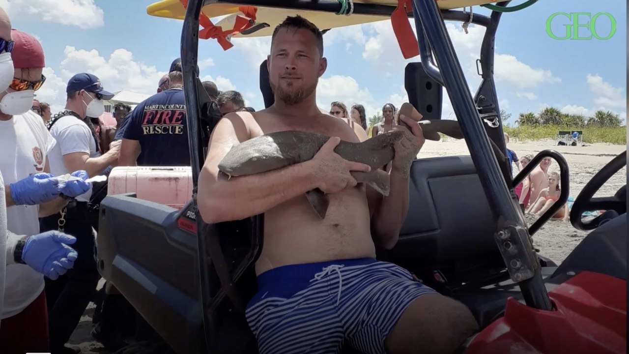 En Floride, un nageur mordu après avoir joué avec un requin